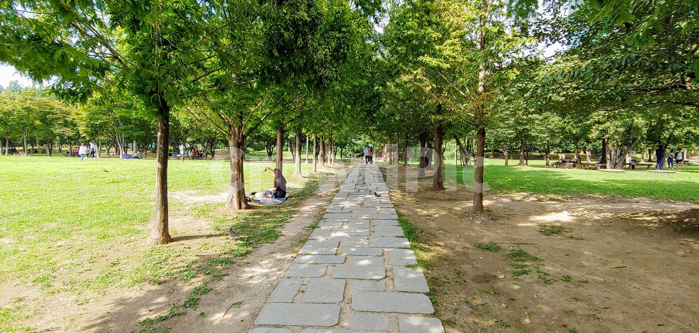 flagstone,판석,path,통로,서울숲