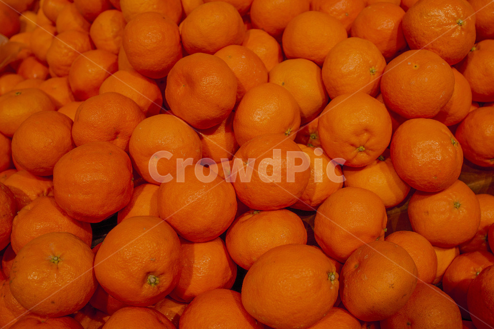 agriculture,color,farm,food,fresh,fruit,healthy,market,natural,nature,orange,organic,pile,seasonal,sweet,vegetable,yellow,오렌지,과일,디저트,달콤,과즙,귤