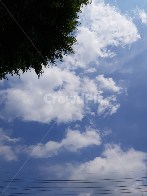 구름,cloud,맑은하늘,sky,나무,tree,시원한,전봇대