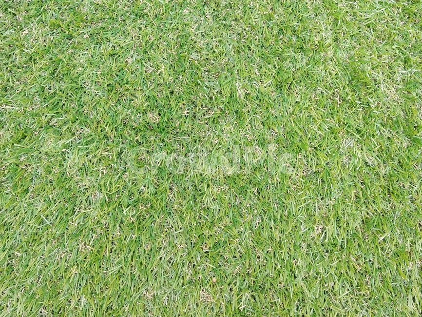 인조잔디,잔디,공원바닥,녹색잔디,인조바닥,grass,plant,lawn