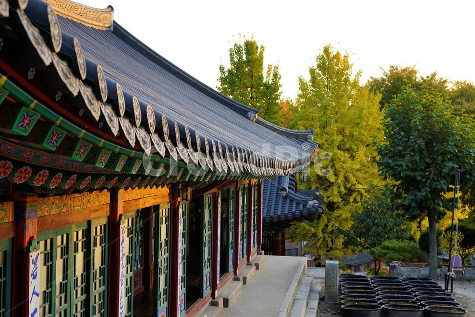 사찰,불교,절,건물,나무,저녘빛,처마,한국건축,건축물,천년고찰,단청,한국전통건축,기와,비구니,도량,종교,기와지붕,전통건축,기와집,지붕,전통,한옥,패턴,배경,전통적인,한국의,construction,한국전통,한국문화,koreantraditional,koreanculture,건물외관,exterior,building,structure,architecture,배경사진,한국전통,한국문화,korean traditional,korean culture
