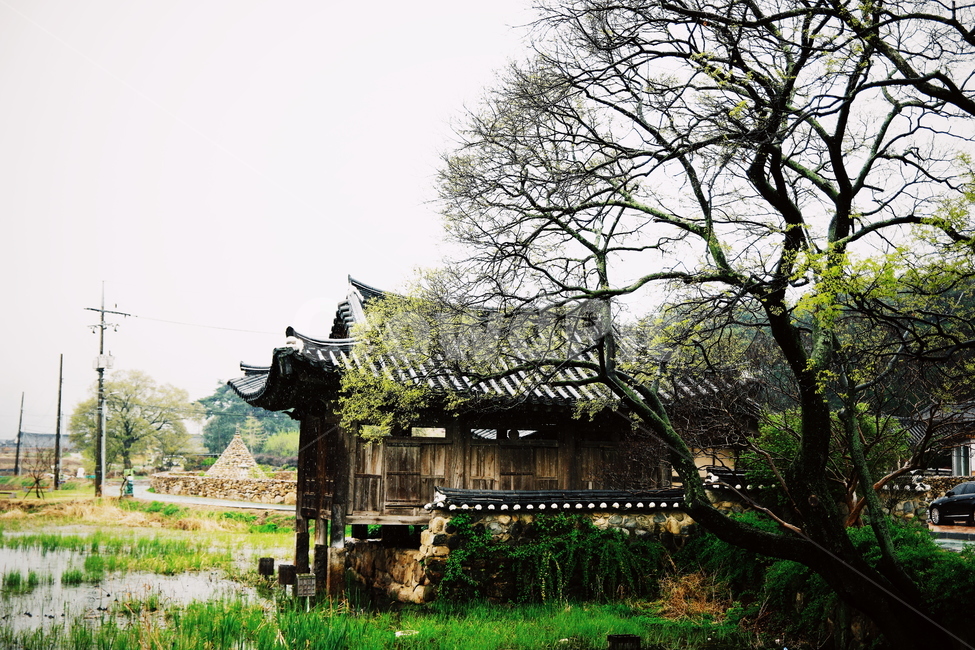 서출지,연꽃,아침,고요,경관,자연,풍광,nature,landscape,한국자연풍경,koreanaturelandscape,감성,감정,sensible,feeling,emotion,계절,season,마을,rural,한국전통,한국문화,koreatraditional,koreaculture,plant,나무,trees,wood,자연,풍경,nature,landscape,한국자연풍경,한국자연경관,korea nature landscape,한국전통,한국문화,korean traditional,korean culture,감성,sensible,feeling,outdoors,옥외,building,건물,housing,주택