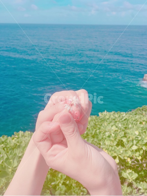 사이판,손,꽃,반쪽꽃,halfflower,flower,hands,사람,인물,인간,human,person,신체일부,몸,body