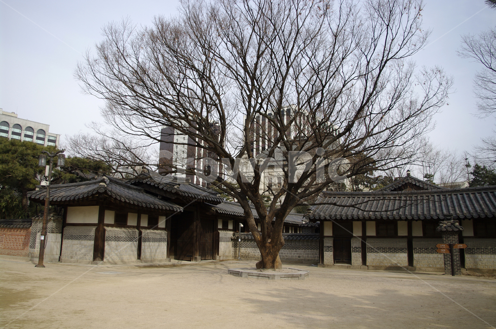 전통,tradition,한옥,전통가옥,기와지붕,운현궁