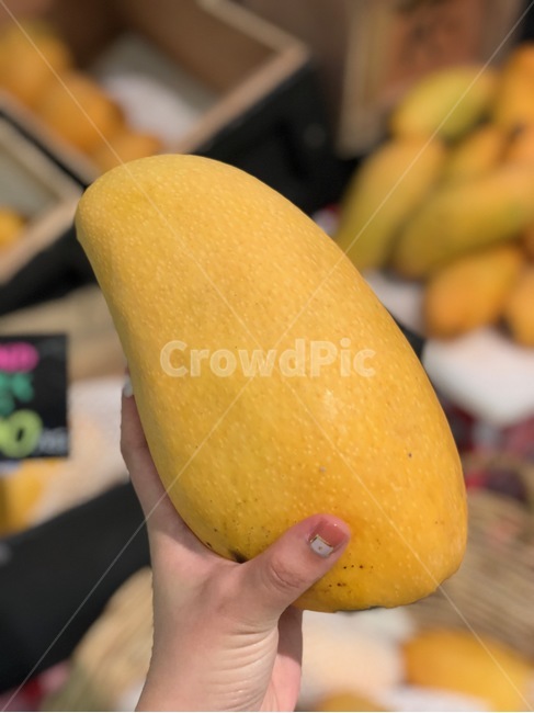 망고,과일,동남아,시장,mango,fruit,yellow,market