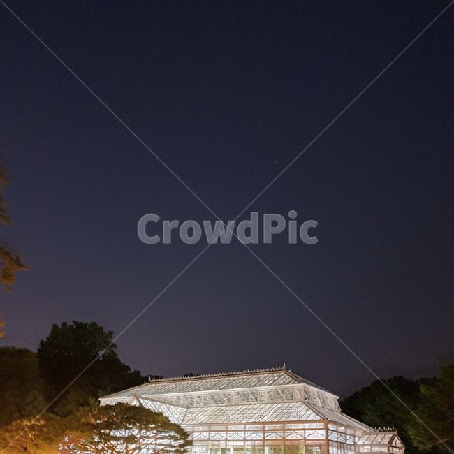 창덕궁,야경,유리,온실,빛,밤,건축물,건물외관,exterior,building,structure,architecture,construction