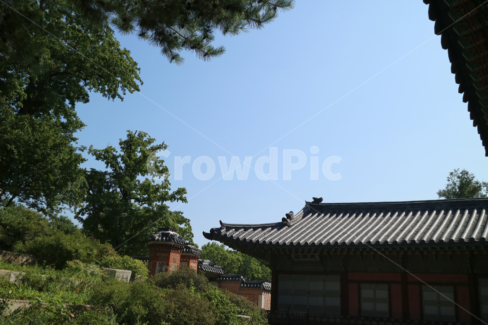 고궁,궁전,한국,한국전통,건축,건물,동양건축,전통,민속,문화재,한국의고궁,한옥,대한민국,한국전통,한국문화,korean traditional,korean culture,건축물,건물외관,exterior,building,structure,architecture,construction