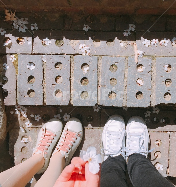 신발,벚꽃,커플,벽돌,계단,봄,데이트,감성,봄,계절,spring,season