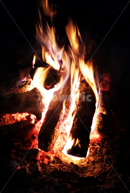 불,fire,모닥불,bonfire,불꽃,flame,자연,nature