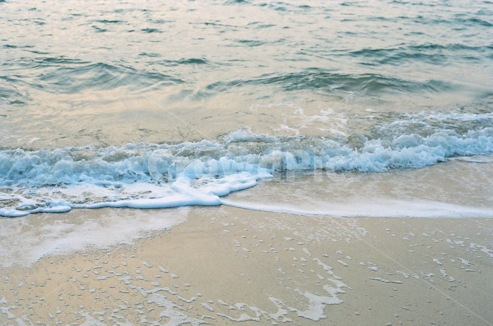 바다,파도,필름사진,필름,감성사진,해변,바다,beach,sea