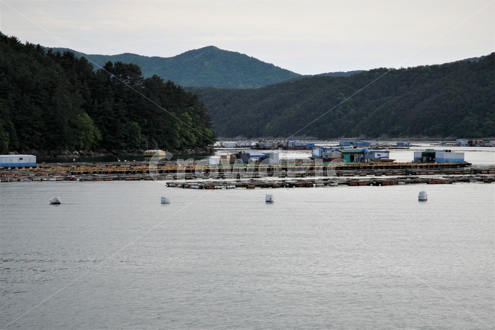 남해,바다,가두리,양식장,풍경,자연,풍경,nature,landscape,산업,industry,industrial,어업,fishery,fishing industry,land,땅,outdoors,옥외,water,물,ocean,대양,sea,shoreline,해안선