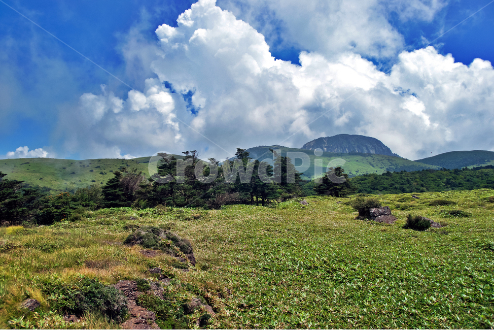 선작지왓,한라산,영실코스,구름,제주도,국립공원,흰구름,윗세오름,제주도,jeju,jeju island,nature,자연,outdoors,옥외