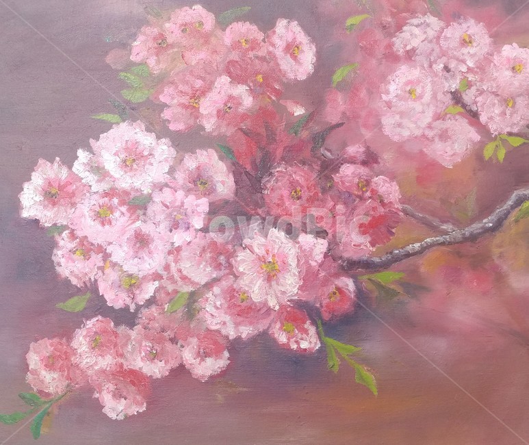 유화,꽃,그림,핸드메이드,분홍,봄,계절,벗꽃,식물,회화