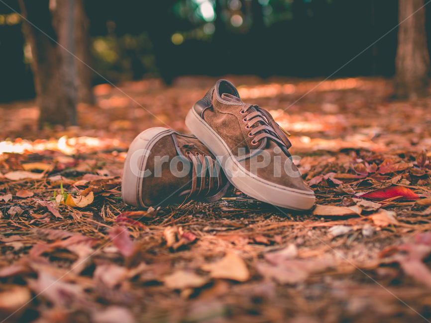 가을,신발,낙엽,단풍,숲,흙,나무,계절,아웃포커싱,가을,계절,fall,autumn,season,패션스타일,의상,fashion,style,감성,sensible,feeling,사물,물건,오브젝트,thing,object,matter