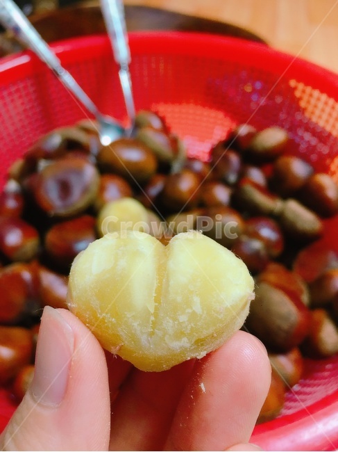plant,식물,food,식품,밤,하트,군밤,찐밤,음식