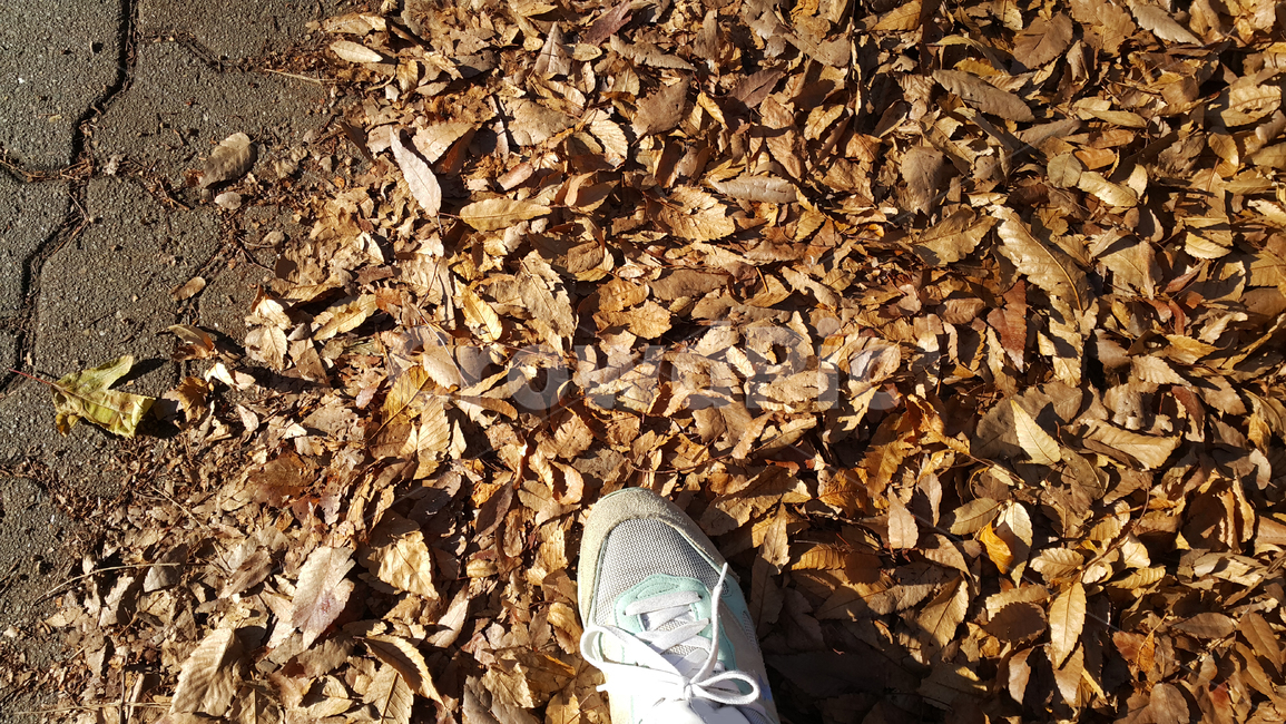 가을,단풍,노랑,신발,낙엽,땅,부스러짐,외로움,평화,autumn,yellow,shoes,leaves,ground,shattering,loneliness,peace,scenery,가을,계절,fall,autumn,season,사람,인물,인간,human,person,신체일부,몸,body,바닥