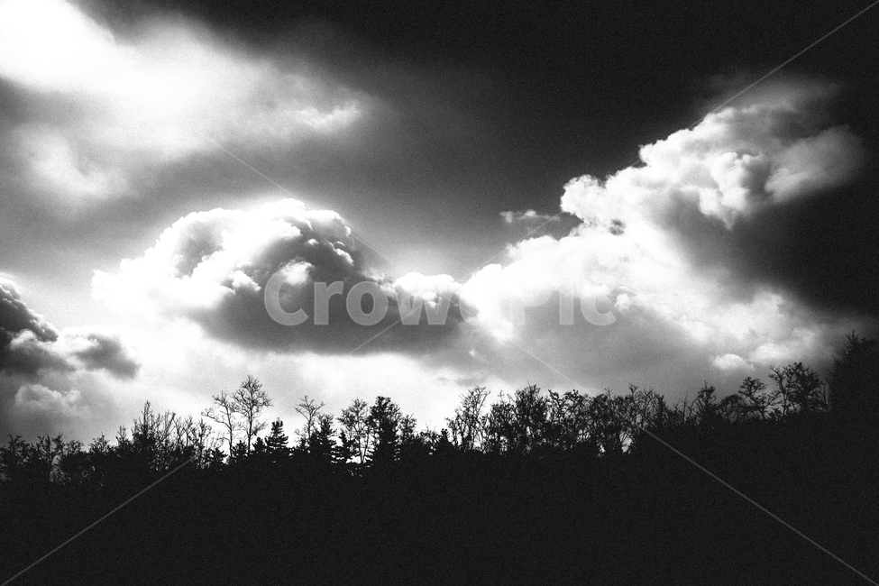 서울,하늘,구름,풍경,흑백,자연,풍경,nature,landscape,흑백,모노톤,monochrome,black and white,weather,날씨,outdoors,옥외,cloud,cumulus,적운,sky
