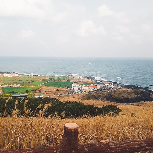 우도,올레길,원경,제주도,제주,갈대,등대,자연,풍경,nature,landscape,제주도,jeju,jeju island,시골,마을,country,rural,town,outdoors,옥외,land,땅