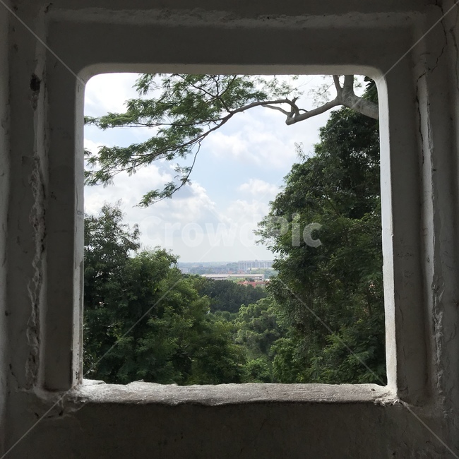 window,창문,하늘,자연,숲,sky,nature,trees,나무