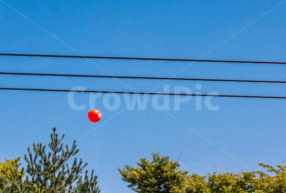 하늘,풍선,감성,빨강,파란하늘,red,bluesky,sky,감성,sensible,feeling
