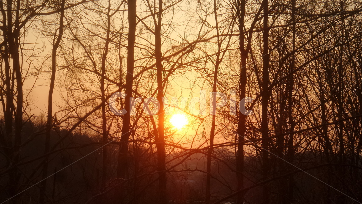 석양,해넘이,태양,해,자연,나무,sun,자연,풍경,nature,landscape,outdoors,옥외,sky,하늘,sunlight,햇빛,dusk,황혼,sunset,일몰,dawn,새벽,red sky,붉은 하늘