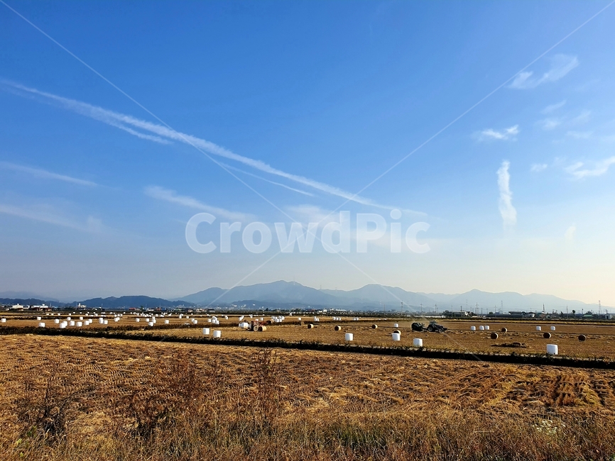 nature,자연,하늘,road,풍경,가을,landscape
