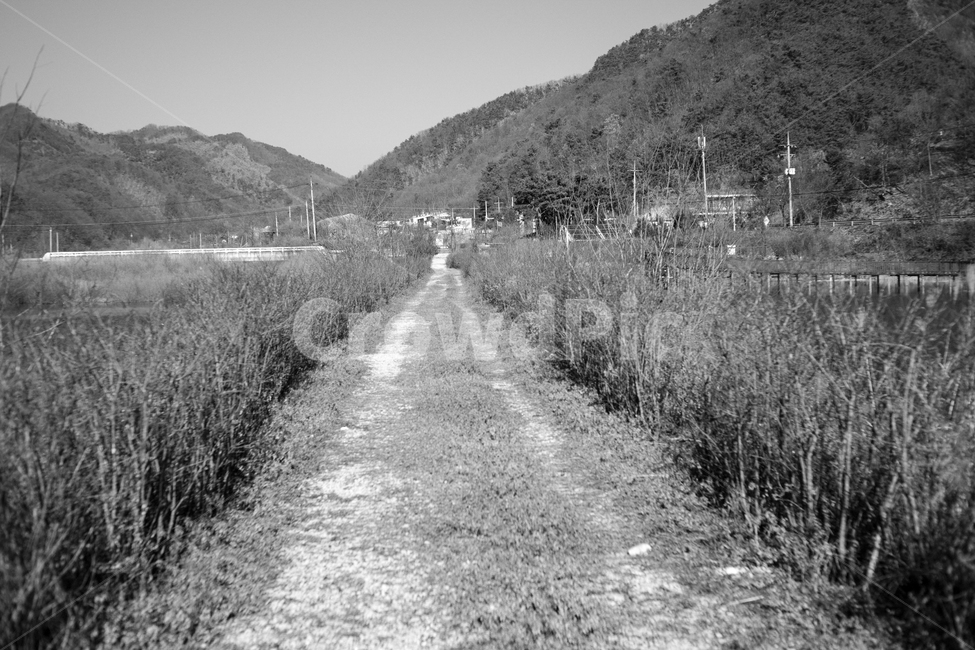 산책로,길,흑백사진,한적한산책로,걷기좋은길,흑백,모노톤,monochrome,black and white