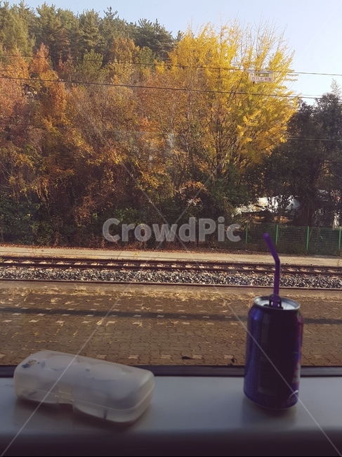 기찻길,교통,레일,철도,railway,traintrack