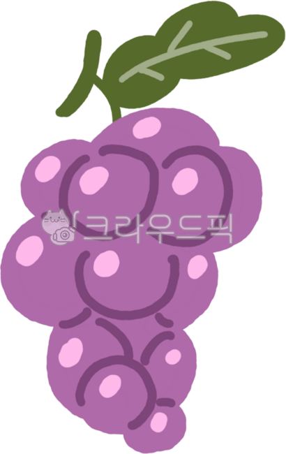 Fruit,fruit,Geobong,fresh grapes,grape,Grape illustration,grape fruit,purple fruit,grape picture,purple grapes,vine