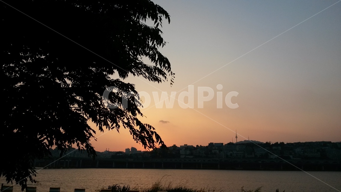 일몰,붉은하늘,tree,실루엣,sky,하늘