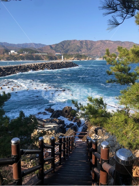 동해,thesastsea,바다,하늘,야외,landscape,nature,자연,outdoors,옥외,산책,겨울바다,파도,waves,walk,tree,나무,소나무,blue,green,파랑,녹색,ocean,풍경,경치