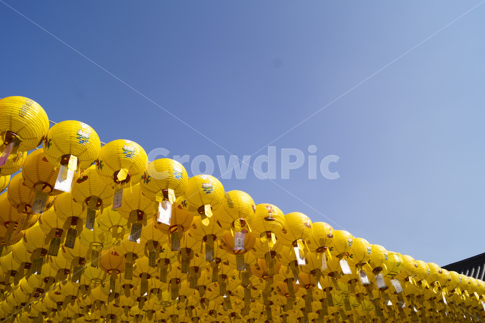 연등,팔공산,풍등,절,동화사,lotuslanttern,종교,신앙,religion,belief,faith,축제,행사,festival,carnival,event