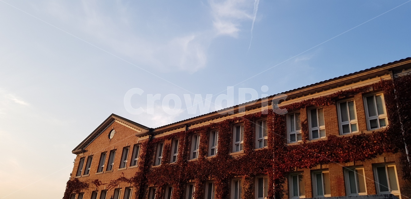 계명대,대구,하늘,구름,건물,해질녘,푸른하늘,건축물,건물외관,exterior,building,structure,architecture,construction