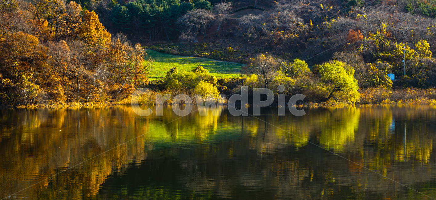 호수,가을,반영,투영,풍경,계절,단풍,나무,숲,가을,계절,fall,autumn,season,자연,풍경,nature,landscape,water,물,outdoors,옥외