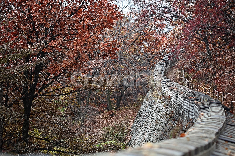남한산성,성,성곽,단풍,낙엽,길,둘레길,담,돌담,가을,자연,풍경,벽,울긋불긋,산성,식물,가을,계절,fall,autumn,season