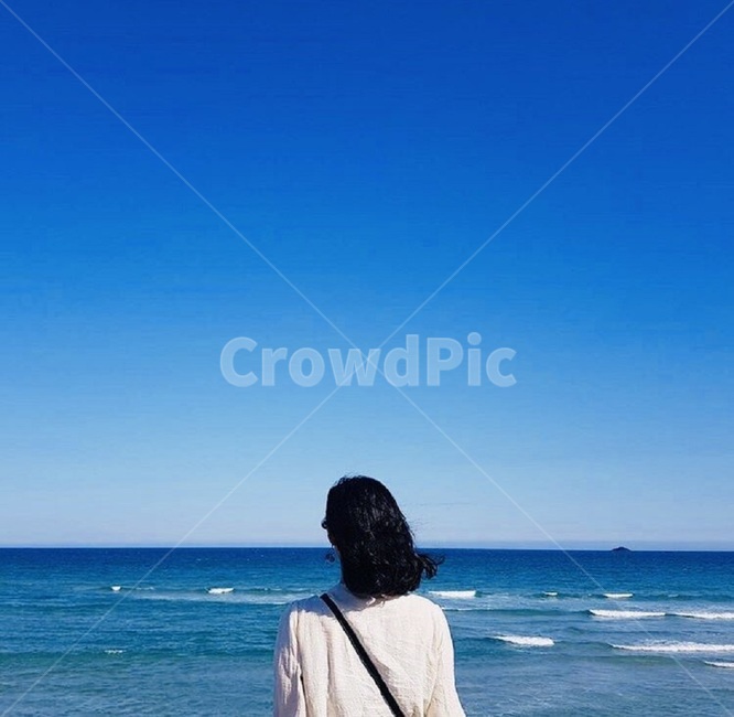 뒷모습,바닷바람,감상,뉴질랜드바닷가,뉴질랜드바다,파란,여자,여성,사람,인물