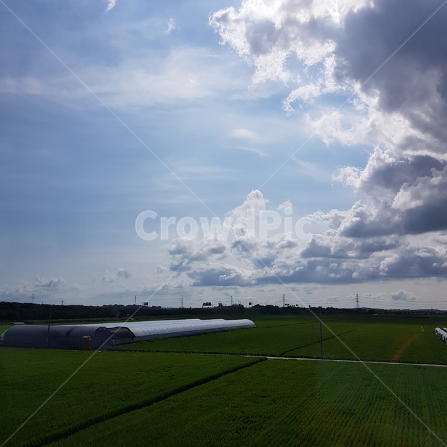 nature,자연,outdoors,옥외,field,들,grassland,목초지,paddyfield,패디필드,countryside,한지방,구름,하늘