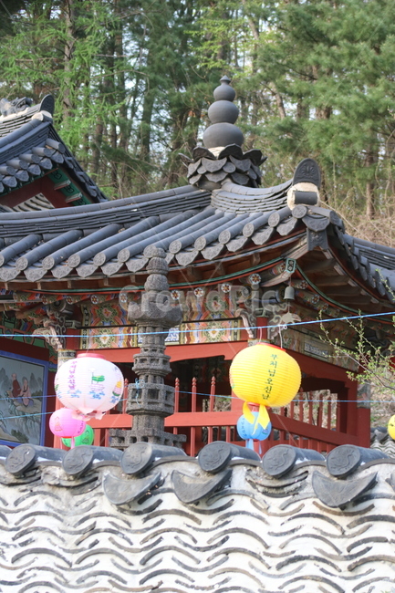 사찰,절,연등,부처님오신날,한굴,한국전통,식물,노란등,분홍등,기와,단청,지붕,감성,배경,담장,무늬,패턴,전기줄,한국전통,한국문화,korean traditional,korean culture,종교,신앙,religion,belief,faith