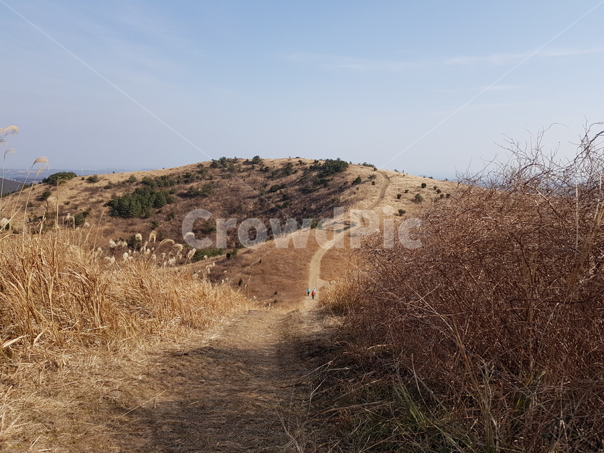 따라비오름,오름,제주도오름,제주오름,갈대밭길,제주도,jeju,jeju island,dirt road,흙길,gravel,자갈,road,도로,ground,바닥,outdoors,옥외,nature,자연