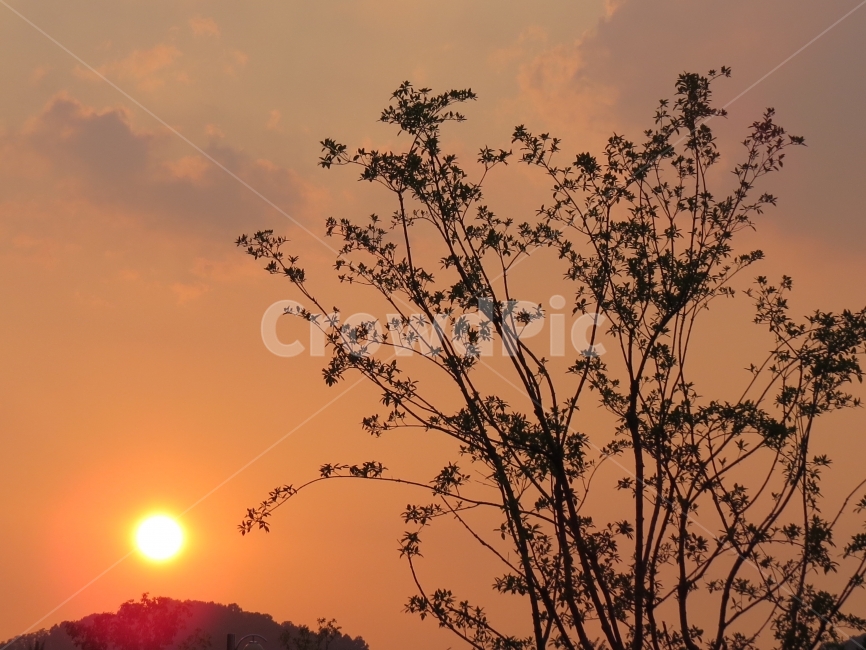 감성,노을,석양,캐논,따뜻,사진,친구들,해,선셋,sunset,canon,역광,backlight,나무,붉은노을,풍경,landscape,자연,풍경,nature,landscape,식물,plants,나무,trees,wood,outdoors,옥외,sky,하늘,red sky,붉은 하늘,dusk,황혼,dawn,새벽,일몰,sunlight,햇빛