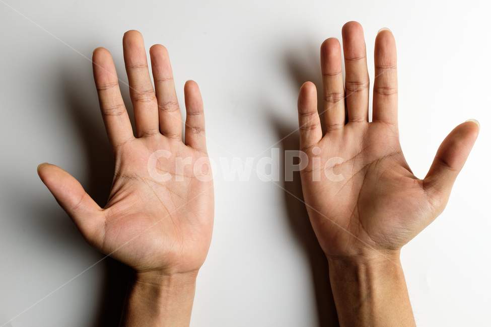 손바닥,손가락,손톱,신체부위,손,손금,사람손,성인,남자,클로즈업,엄지손가락,검지손가락,중지손가락,약지손가락,새끼손가락,신체부분,신체일부,몸,body