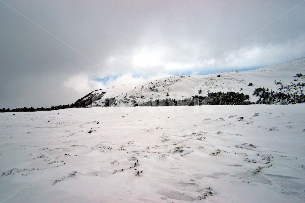 겨울산,한라산,제주도,어리목코스,설경,설산,한라산설경,겨울,눈,겨울,계절,winter,season,자연,풍경,nature,landscape,한국자연풍경,한국자연경관,korea nature landscape