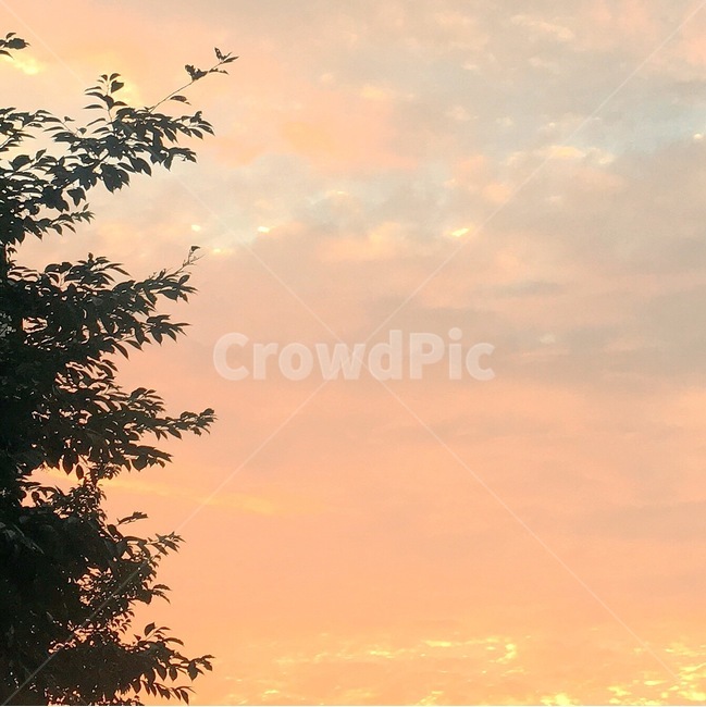 자연,풍경,하늘,노을,sky,skyview,sunset,scenery,자연,풍경,nature,landscape,outdoors,옥외,tree,나무,plant,식물