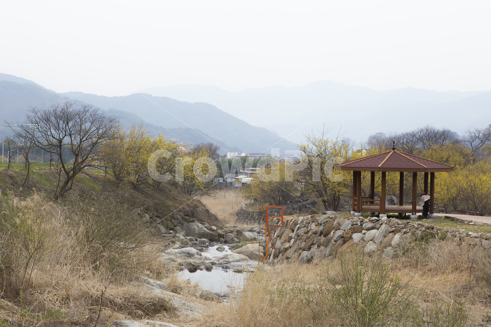 냇가,정자,시골,풍경,자연,개나리,자연,풍경,nature,landscape