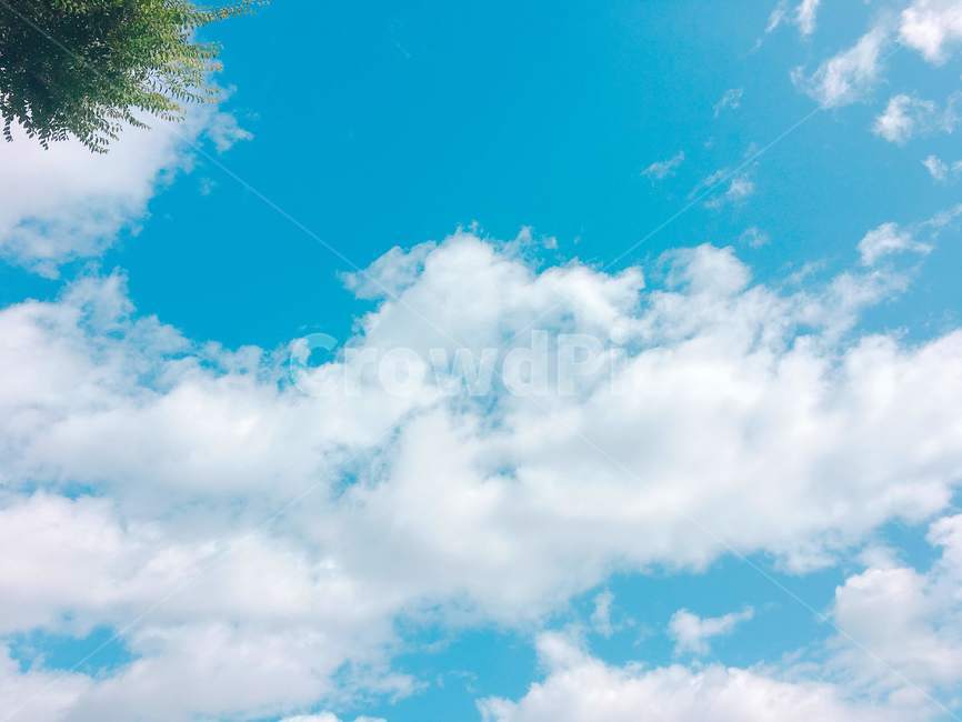 하늘,구름,자연,파랑,나뭇잎,배경,바탕,감성,자연,풍경,nature,landscape,azure sky,푸른 하늘,sky,outdoors,옥외