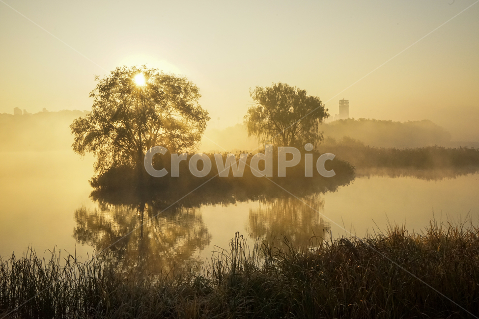호수,새벽,안개,저수지,풍경,물안개,자연,일출,자연,풍경,nature,landscape,weather,날씨,outdoors,옥외