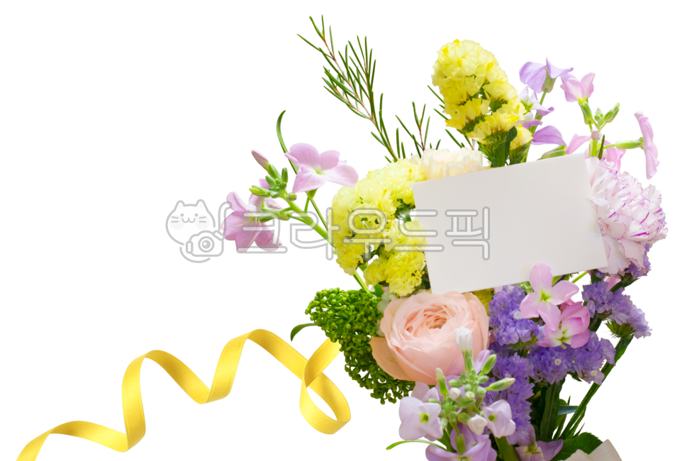 졸업,꽃,꽃다발,리본,초대장,초청장,축하,졸업축하,입학축하,봄,봄배경,여름,계절,초록,그린,식물,꽃잎,꽃배경,꽃장식,화훼,부케,장식,카네이션,플로리스트,화분,졸업을축하합니다,이벤트,웨딩,결혼,가정의달,예식,임직예식,누끼,나뭇잎,라벨,입학,웹,웹소스,디자인,시즌,화사한,아름다운,기념일,생일,카드,생일카드,png,graphics,floraldesign,플로랄디자인,postcard,present,festive,valentine,springtime,flora,bloom,easter,season,anniversary,birthday,celebration,ribbon,green,gift,natural,graphic,romantic,invite,greeting,rose,love,blooming,mothersday,decorative,plant,beautiful,bouquet,wedding,summer,vintage,leaf,blossom,art,pink,invitation,design,spring,background,card,nature,decoration,flower,floral,graduation,발렌타인데이,발렌타인,장미