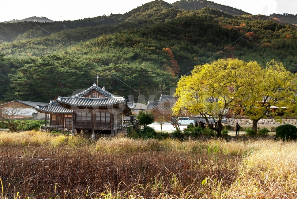경주,서출지,이요당,전통건축,한옥,기와,정자,관광지,가을,경주남산,통일전,신라시대,삼국시대,단풍,건축,건축물,건물,한국전통,가을,계절,fall,autumn,season,시골,마을,풍경,landscape,country,rural,town,한국전통,한국문화,korean traditional,korean culture,nature,자연,outdoors,옥외,building,농촌