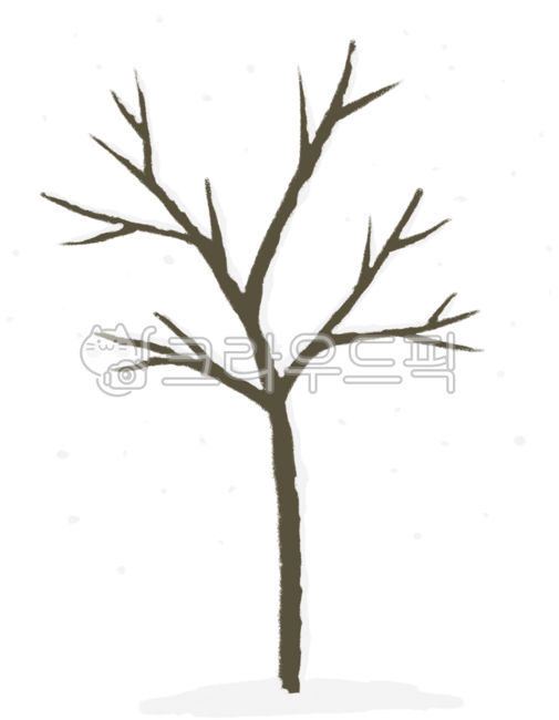 tree branch,winter,snow,tree,winter tree,winter,wintertree,tree,snow