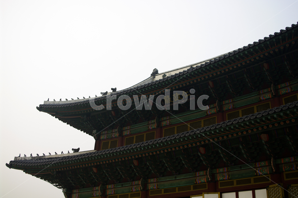 인정전,창덕궁,고궁,낙선재,건축,전통건축,traditional,전통,기와지붕,한국전통,한국문화,korean traditional,korean culture,랜드마크,landmark,tourist attraction,한국랜드마크,한국관광지,한국명소,korea landmark,korea tourist attraction,건축물,건물외관,exterior,building,structure,architecture,construction